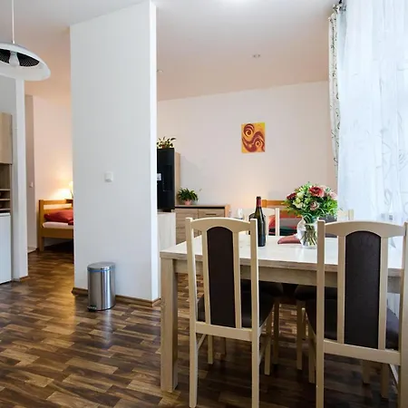 ゲストハウス A Wellness U Trebonske Madony トレボン